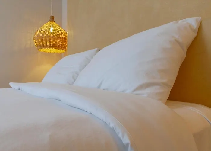 Amplio Y Comodo 1Br En Tulum